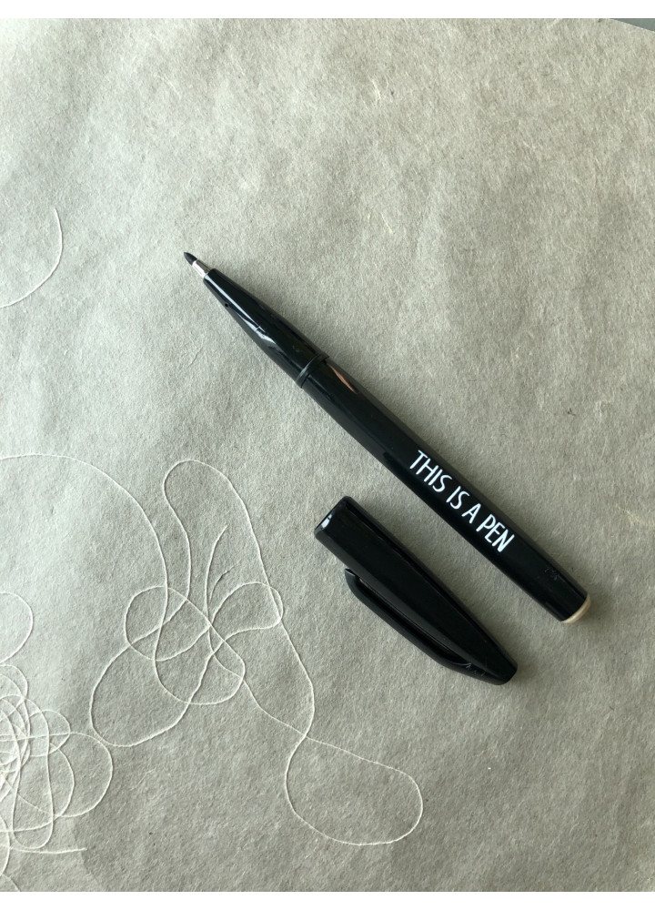 Noritake • This is a pen • BLACK